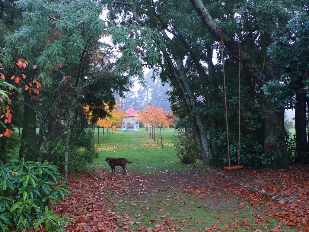 Granary At Gunyah Country Estate Villa Methven Rum bild